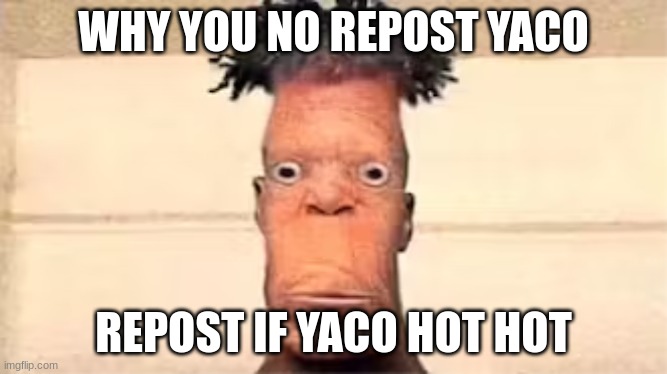 yaco | WHY YOU NO REPOST YACO; REPOST IF YACO HOT HOT | image tagged in yaco | made w/ Imgflip meme maker