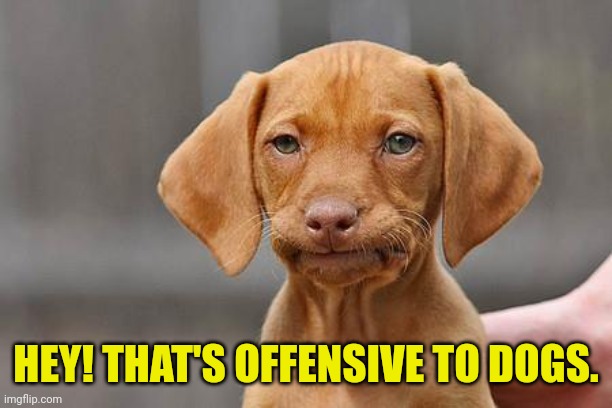 Dissapointed puppy | HEY! THAT'S OFFENSIVE TO DOGS. | image tagged in dissapointed puppy | made w/ Imgflip meme maker