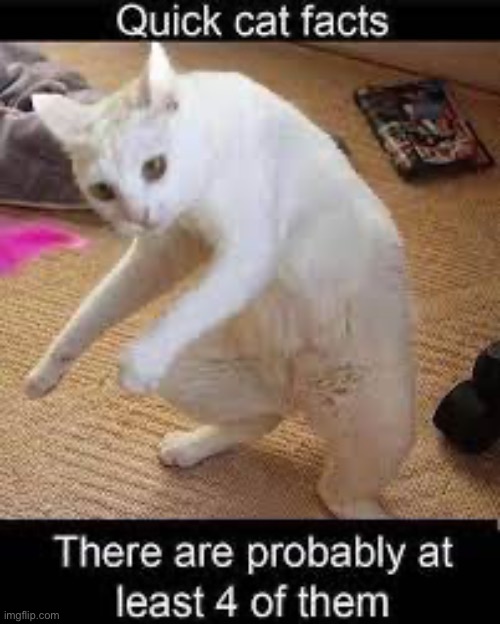At least 4 | made w/ Imgflip meme maker