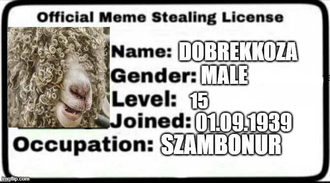 Meme Stealing License | DOBREKKOZA; MALE; 15; 01.09.1939; SZAMBONUR | image tagged in meme stealing license | made w/ Imgflip meme maker
