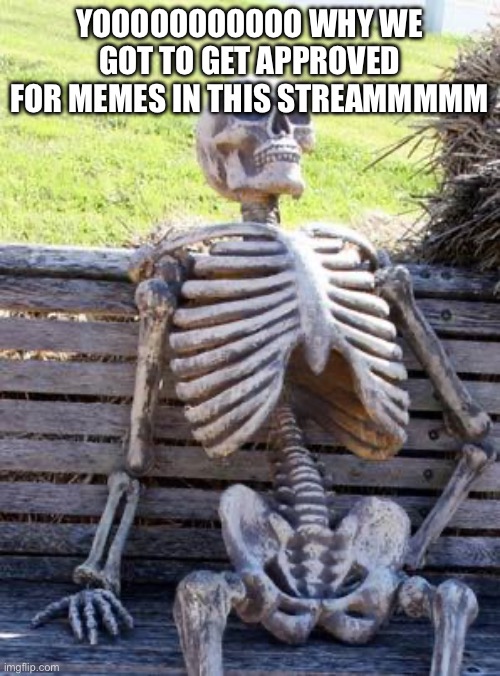 X-x | YOOOOOOOOOOO WHY WE GOT TO GET APPROVED FOR MEMES IN THIS STREAMMMMM | image tagged in memes,waiting skeleton | made w/ Imgflip meme maker