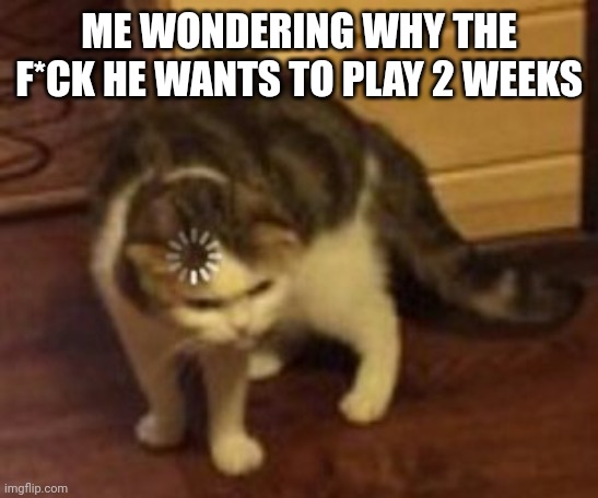 Loading cat | ME WONDERING WHY THE F*CK HE WANTS TO PLAY 2 WEEKS | image tagged in loading cat | made w/ Imgflip meme maker