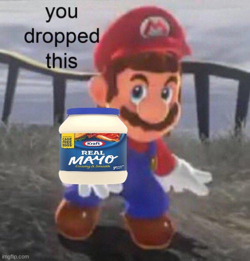 Mario You dropped this | image tagged in mario you dropped this | made w/ Imgflip meme maker