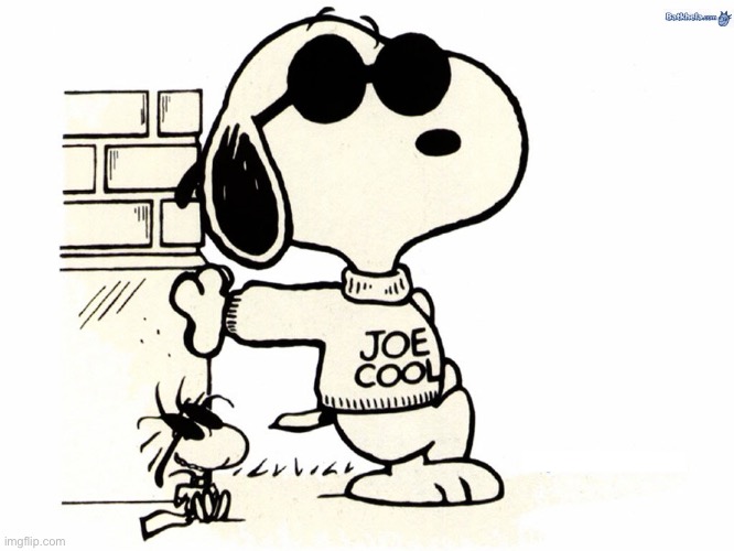 Snoopy Joe Cool | image tagged in snoopy joe cool | made w/ Imgflip meme maker