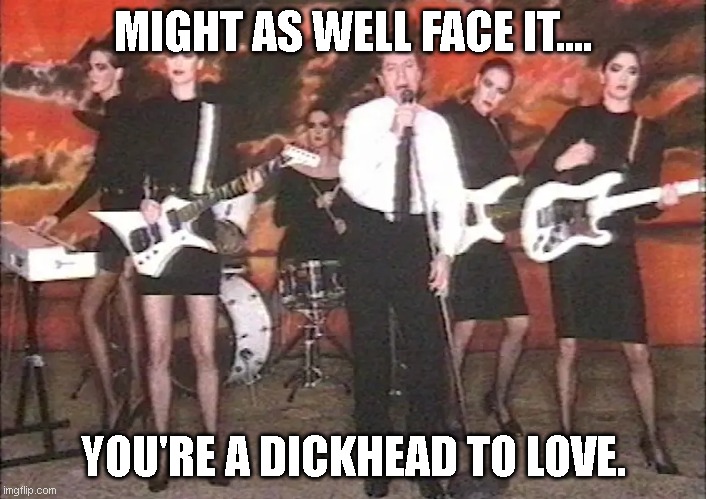 MIGHT AS WELL FACE IT.... YOU'RE A DICKHEAD TO LOVE. | image tagged in bad pun,funny memes | made w/ Imgflip meme maker