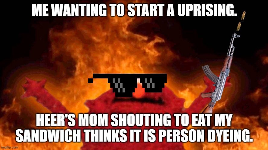 elmo fire | ME WANTING TO START A UPRISING. HEER'S MOM SHOUTING TO EAT MY SANDWICH THINKS IT IS PERSON DYEING. | image tagged in elmo fire | made w/ Imgflip meme maker