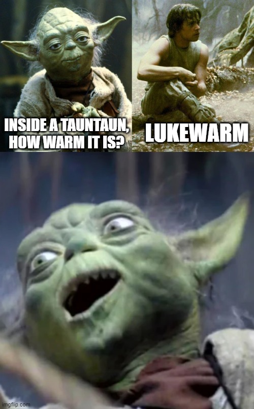 Yoda Zing | LUKEWARM; INSIDE A TAUNTAUN, HOW WARM IT IS? | image tagged in memes,star wars yoda,dagobah luke and yoda | made w/ Imgflip meme maker