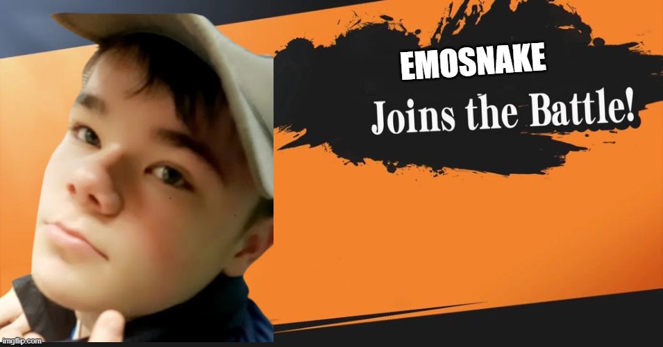 Smash Bros. | EMOSNAKE | image tagged in smash bros | made w/ Imgflip meme maker