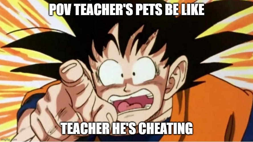 POV TEACHER'S PETS BE LIKE; TEACHER HE'S CHEATING | image tagged in pov | made w/ Imgflip meme maker