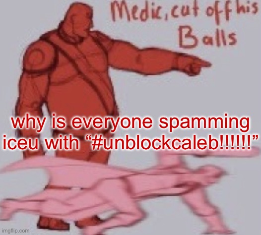 medick | why is everyone spamming iceu with “#unblockcaleb!!!!!!” | image tagged in medick | made w/ Imgflip meme maker