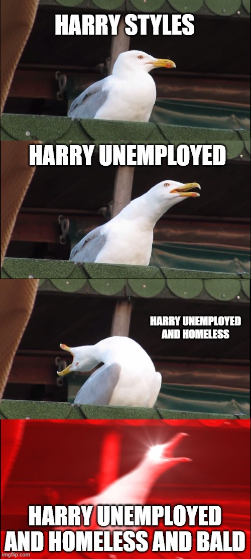 hs | HARRY STYLES; HARRY UNEMPLOYED; HARRY UNEMPLOYED AND HOMELESS; HARRY UNEMPLOYED AND HOMELESS AND BALD | image tagged in memes,inhaling seagull | made w/ Imgflip meme maker