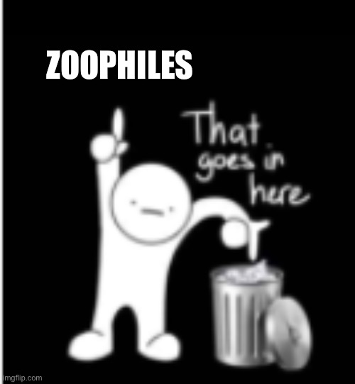 That goes in here | ZOOPHILES | image tagged in that goes in here | made w/ Imgflip meme maker