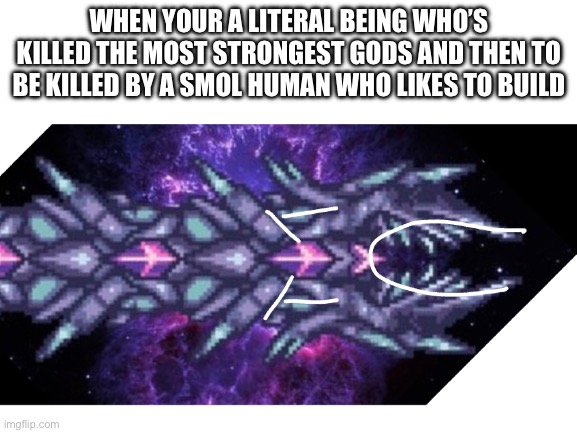 Sometimes, things don’t make sense | WHEN YOUR A LITERAL BEING WHO’S KILLED THE MOST STRONGEST GODS AND THEN TO BE KILLED BY A SMOL HUMAN WHO LIKES TO BUILD | image tagged in blank white template,terraria | made w/ Imgflip meme maker