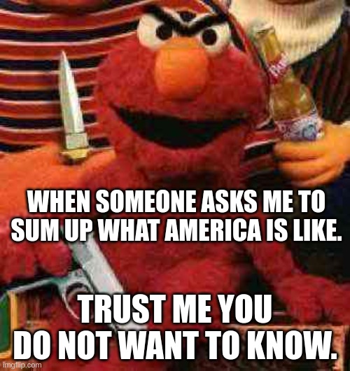 america is a whirlwind of emotions. including death | WHEN SOMEONE ASKS ME TO SUM UP WHAT AMERICA IS LIKE. TRUST ME YOU DO NOT WANT TO KNOW. | image tagged in gangsta elmo | made w/ Imgflip meme maker