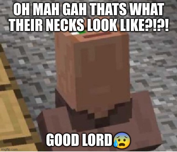 Minecraft Villager Looking Up | OH MAH GAH THATS WHAT THEIR NECKS LOOK LIKE?!?! GOOD LORD😰 | image tagged in minecraft villager looking up | made w/ Imgflip meme maker