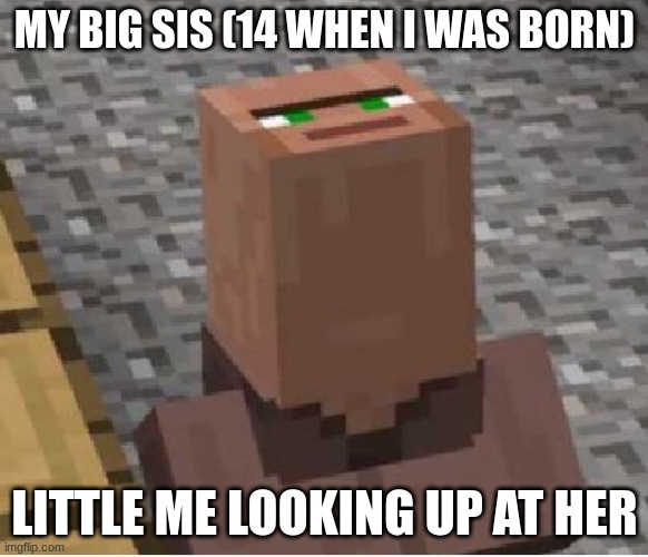 Minecraft Villager Looking Up | MY BIG SIS (14 WHEN I WAS BORN); LITTLE ME LOOKING UP AT HER | image tagged in minecraft villager looking up | made w/ Imgflip meme maker