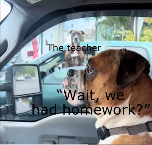 “Take out my homework for me to collect it” wait we had homework- | The teacher; “Wait, we had homework?” | image tagged in dog looking at embarrassed dog | made w/ Imgflip meme maker