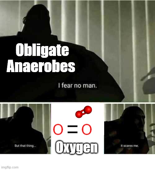 Not everything needs oxygen (in fact it kills these things) | Obligate Anaerobes; Oxygen | image tagged in i fear no man,science,fun | made w/ Imgflip meme maker