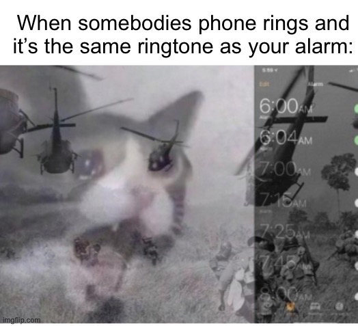 The sound of pain | When somebodies phone rings and it’s the same ringtone as your alarm: | image tagged in memes | made w/ Imgflip meme maker