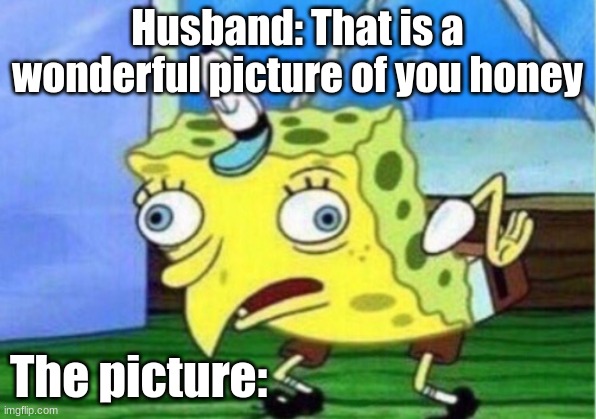 Mocking Spongebob | Husband: That is a wonderful picture of you honey; The picture: | image tagged in memes,mocking spongebob | made w/ Imgflip meme maker