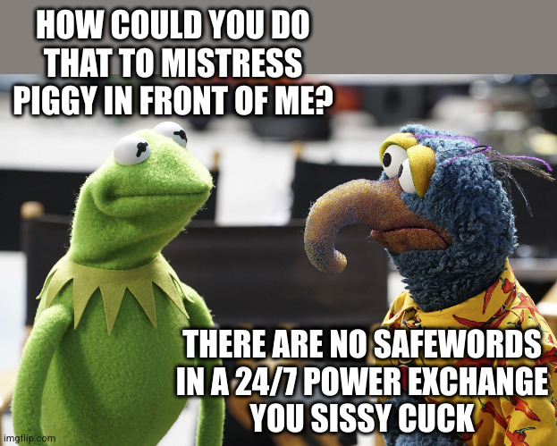 you see gonzo | HOW COULD YOU DO THAT TO MISTRESS PIGGY IN FRONT OF ME? THERE ARE NO SAFEWORDS
IN A 24/7 POWER EXCHANGE
YOU SISSY CUCK | image tagged in you see gonzo | made w/ Imgflip meme maker