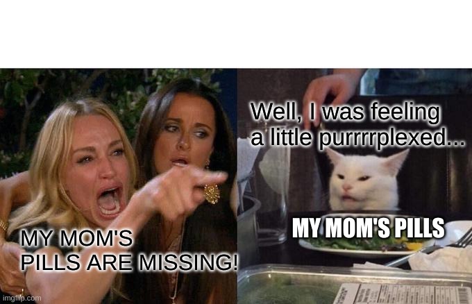 Woman Yelling At Cat | Well, I was feeling a little purrrrplexed... MY MOM'S PILLS; MY MOM'S PILLS ARE MISSING! | image tagged in memes,woman yelling at cat | made w/ Imgflip meme maker