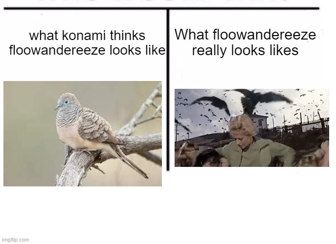 comparison table | what konami thinks floowandereeze looks like; What floowandereeze really looks likes | image tagged in comparison table | made w/ Imgflip meme maker