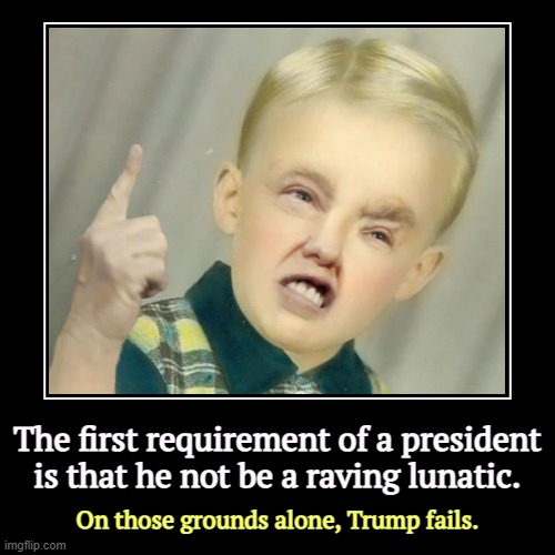 The first requirement of a president is that he not be a raving lunatic. | On those grounds alone, Trump fails. | image tagged in funny,demotivationals,trump,berserk,lunatic | made w/ Imgflip demotivational maker