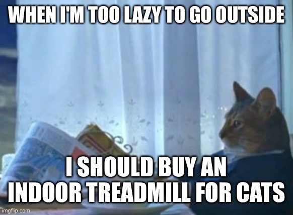 I Should Buy A Boat Cat | WHEN I'M TOO LAZY TO GO OUTSIDE; I SHOULD BUY AN INDOOR TREADMILL FOR CATS | image tagged in memes,i should buy a boat cat,funny cat memes | made w/ Imgflip meme maker