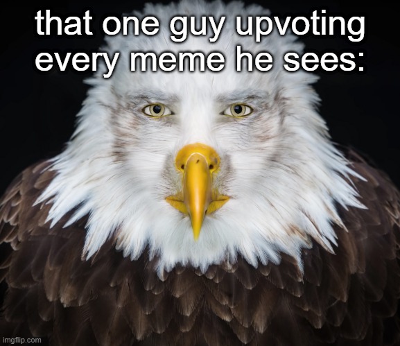 that one guy upvoting every meme he sees: | made w/ Imgflip meme maker