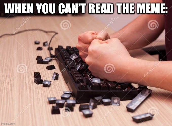 Keyboard Smash | WHEN YOU CAN’T READ THE MEME: | image tagged in keyboard smash | made w/ Imgflip meme maker