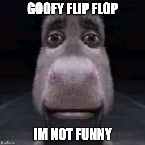 Donkey staring | GOOFY FLIP FLOP; IM NOT FUNNY | image tagged in donkey staring | made w/ Imgflip meme maker