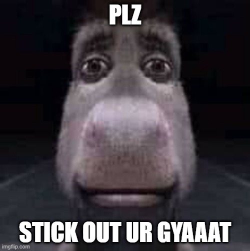 Donkey staring | PLZ; STICK OUT UR GYAAAT | image tagged in donkey staring | made w/ Imgflip meme maker