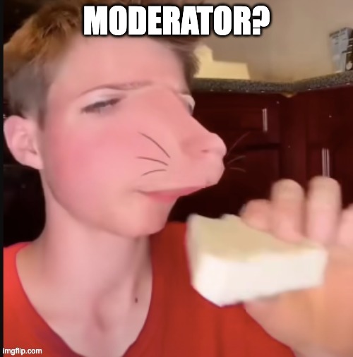 Speed Mcqueen | MODERATOR? | image tagged in speed mcqueen | made w/ Imgflip meme maker