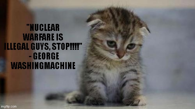 Sad kitten | "NUCLEAR WARFARE IS ILLEGAL GUYS, STOP!!!!"
 - GEORGE WASHINGMACHINE | image tagged in sad kitten | made w/ Imgflip meme maker