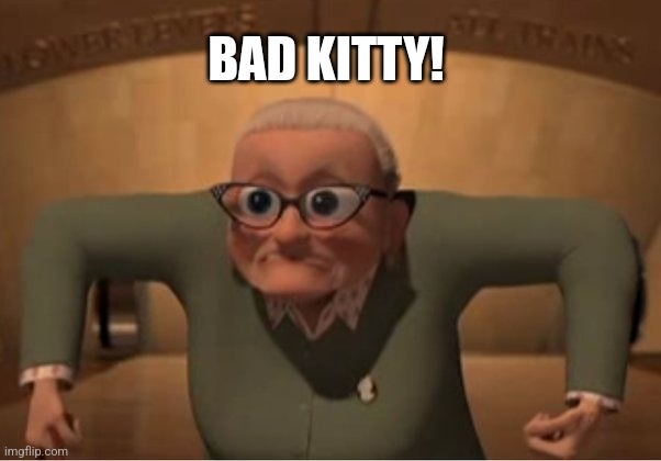 BAD KITTY! | made w/ Imgflip meme maker