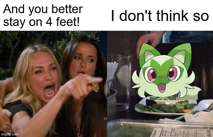 Woman Yelling At Cat | And you better stay on 4 feet! I don't think so | image tagged in memes,woman yelling at cat | made w/ Imgflip meme maker