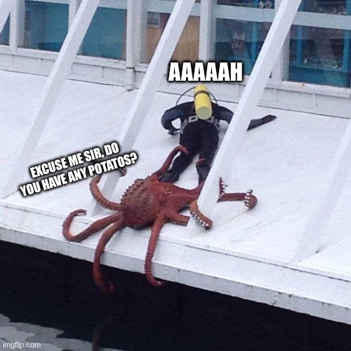 octopus | AAAAAH; EXCUSE ME SIR, DO YOU HAVE ANY POTATOS? | image tagged in octopus | made w/ Imgflip meme maker