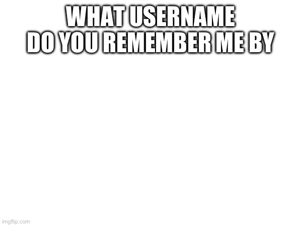 WHAT USERNAME DO YOU REMEMBER ME BY | made w/ Imgflip meme maker