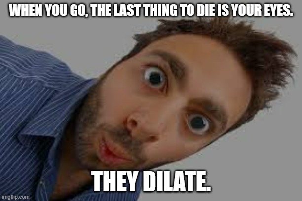 meme by Brad what part dies last? | WHEN YOU GO, THE LAST THING TO DIE IS YOUR EYES. THEY DILATE. | image tagged in humans | made w/ Imgflip meme maker