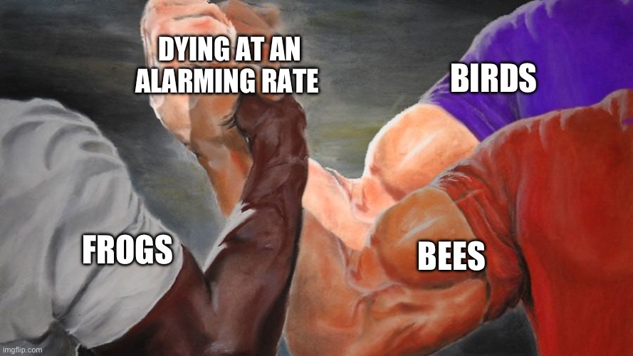 The Birds and the Bees are the Frogs | DYING AT AN ALARMING RATE; BIRDS; BEES; FROGS | image tagged in epic handshake three way,birds,birds and bees,frogs,animal meme,sad but true | made w/ Imgflip meme maker