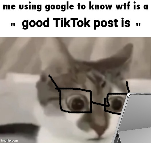 SMRT | good TikTok post is | image tagged in me using google to know wtf is a x | made w/ Imgflip meme maker