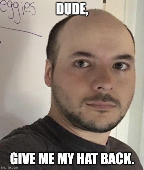 Tim Pool Bald | DUDE, GIVE ME MY HAT BACK. | image tagged in tim pool bald | made w/ Imgflip meme maker