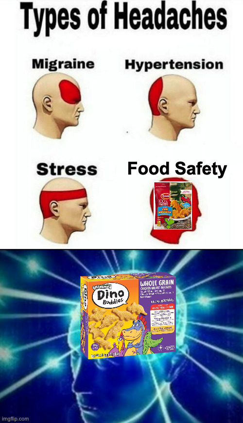 Dino Buddies ARE Metal, don't contain Metal. | Food Safety | image tagged in types of headaches meme,big brain | made w/ Imgflip meme maker