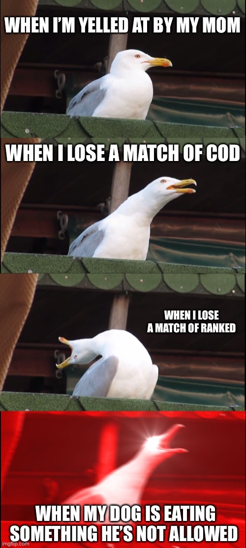 Anybody else like this | WHEN I’M YELLED AT BY MY MOM; WHEN I LOSE A MATCH OF COD; WHEN I LOSE A MATCH OF RANKED; WHEN MY DOG IS EATING SOMETHING HE’S NOT ALLOWED | image tagged in memes,inhaling seagull | made w/ Imgflip meme maker