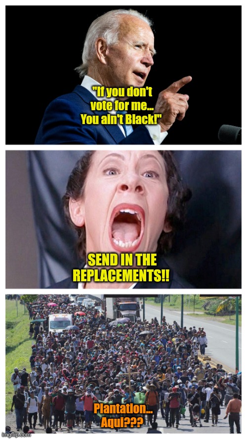 You're no longer "useful". | "If you don't vote for me... You ain't Black!"; SEND IN THE REPLACEMENTS!! Plantation... Aqui??? | made w/ Imgflip meme maker
