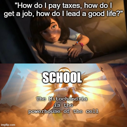 Mitochondria | "How do I pay taxes, how do I get a job, how do I lead a good life?"; SCHOOL; The Mitochondria 
is the powerhouse of the cell | image tagged in overwatch mercy meme | made w/ Imgflip meme maker