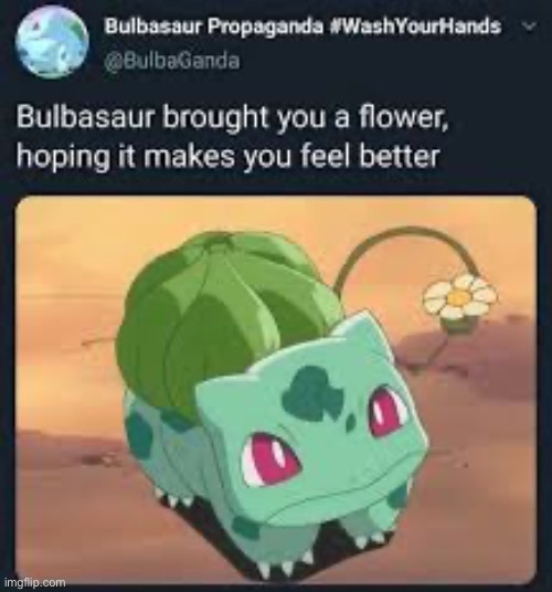 Bulbasaur | image tagged in bulbasaur | made w/ Imgflip meme maker