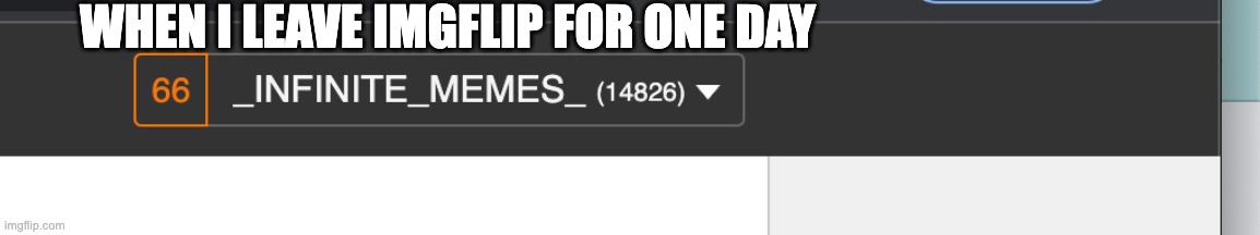 When I leave imgflip for one day | WHEN I LEAVE IMGFLIP FOR ONE DAY | image tagged in imgflip,memes | made w/ Imgflip meme maker