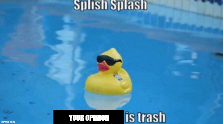 HAHA | YOUR OPINION | image tagged in splish splash | made w/ Imgflip meme maker